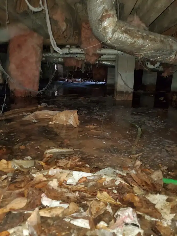 Crawl space flood assessment for Leak Detection & Repair in Mascoutah